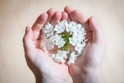 Hands holding flower